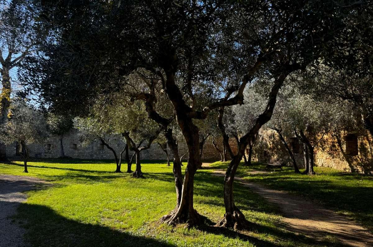 Parco della Rocca com vistas da natureza