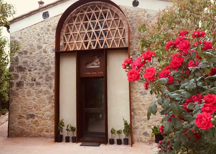 Il Palagione
